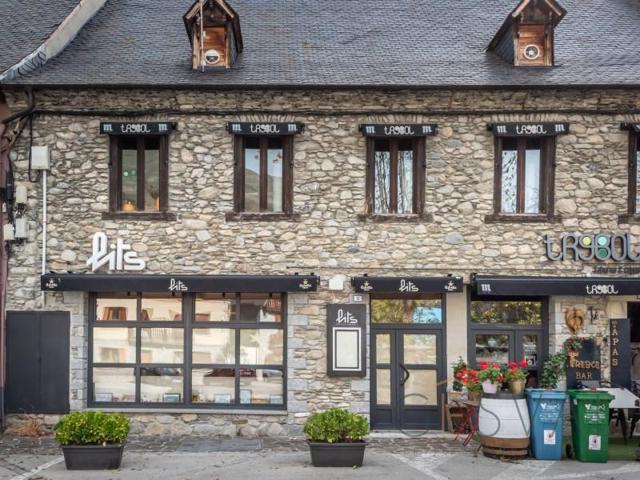 Local comercial en alquiler en Naut Aran photo 0