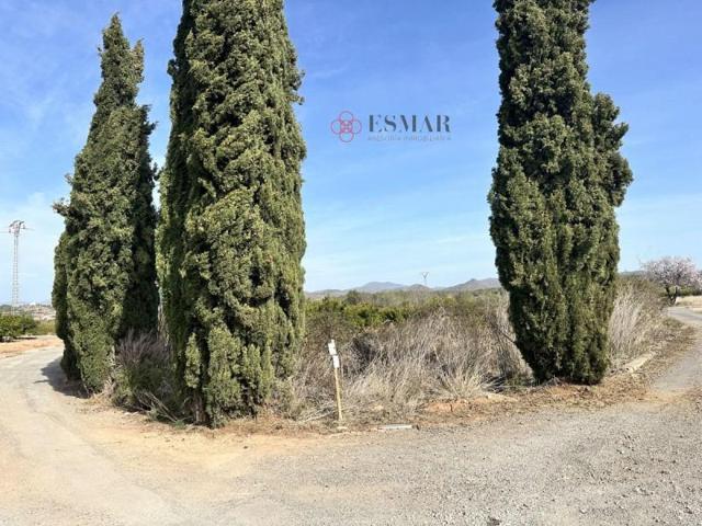 Terreno en venta en Algimia de Alfara, Algimia De Alfara photo 0