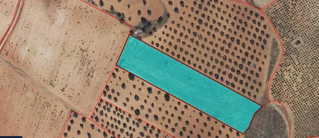 Terreno en venta en Valdepeñas, Banos del Peral photo 0