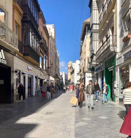 Local comercial en alquiler en Sevilla, Centro - Campana photo 0