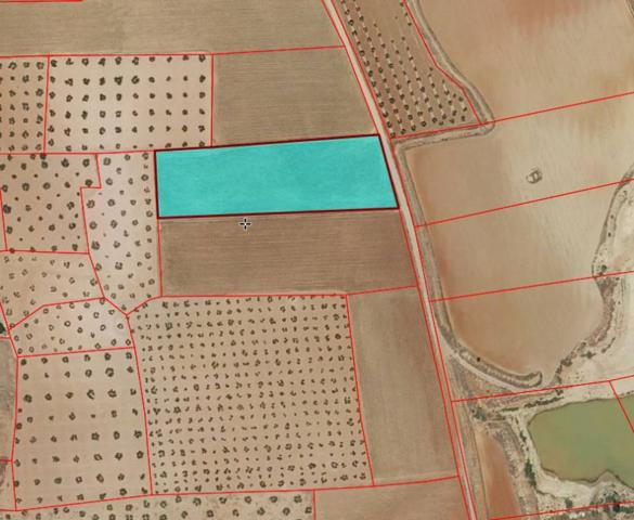 Chalet en venta en Torrenueva, Torrenueva photo 0