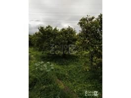 Chalet en venta en Algemesí photo 0