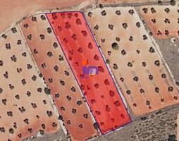 Chalet en venta en San Carlos del Valle, San Carlos Del Valle photo 0