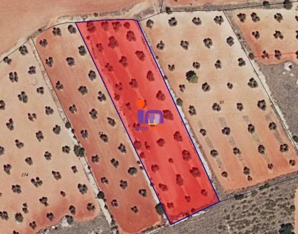 Chalet en venta en San Carlos del Valle, San Carlos Del Valle photo 0