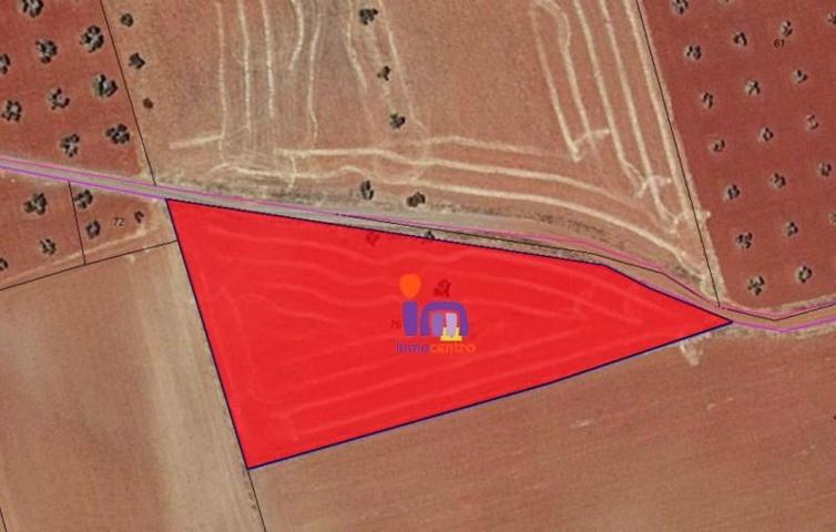 Chalet en venta en Torrenueva, Torrenueva photo 0