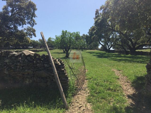 Chalet en venta en Bodonal de la Sierra, Bodonal De La Sierra photo 0