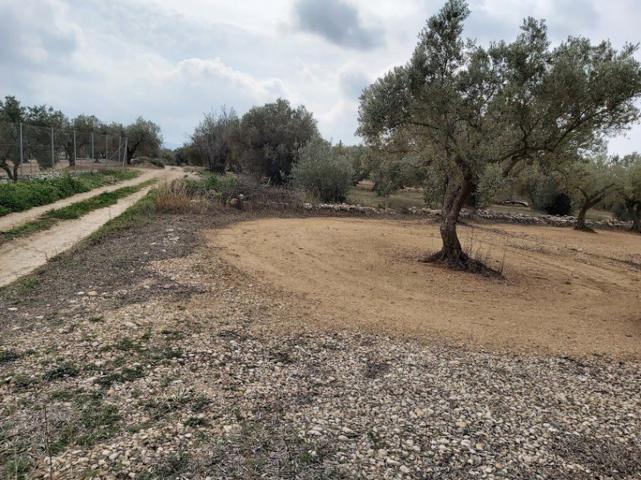 Chalet en venta en Jana, La Jana photo 0