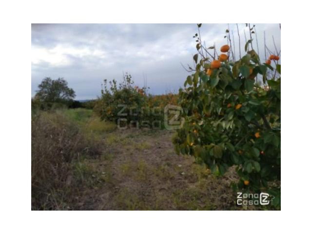 Chalet en venta en Guadassuar photo 0