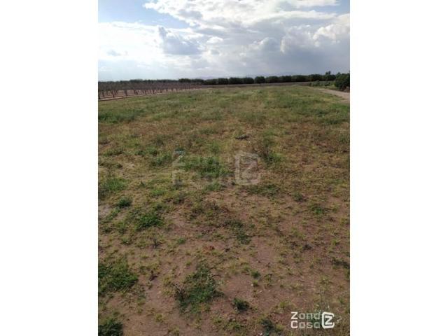 Chalet en venta en Algemesí, Poligono cotes photo 0