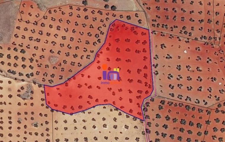 Chalet en venta en Torrenueva, Torrenueva photo 0