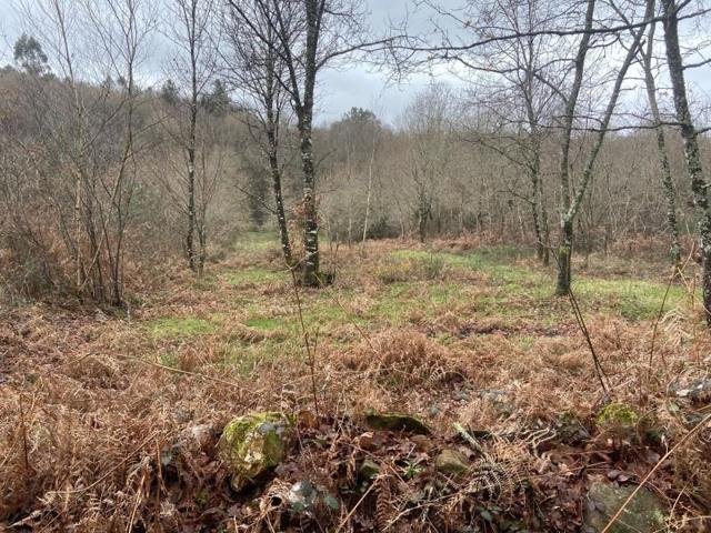 Terreno en venta en Lalín photo 0