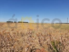 Piso en alquiler en Medina del Campo photo 0