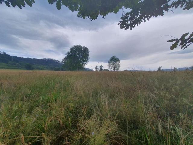 Chalet en venta en Grado, La Mata photo 0