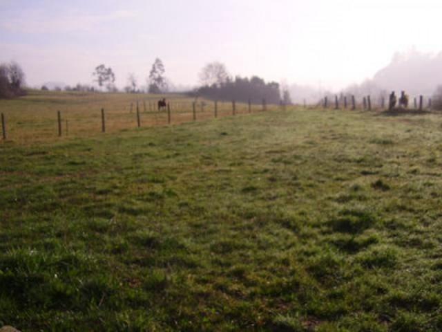 Terreno en venta en Las Regueras, Las Regueras photo 0
