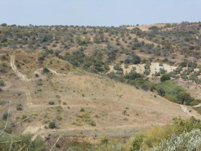 Chalet en venta en Bonares, Bonares photo 0