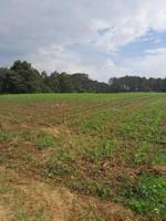 Chalet en venta en Franco, La Caridad - Alrededores photo 0