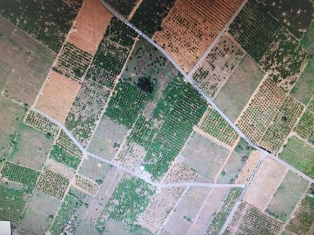 Terreno en venta en Almazora-Almassora, Almazora - Almassora photo 0