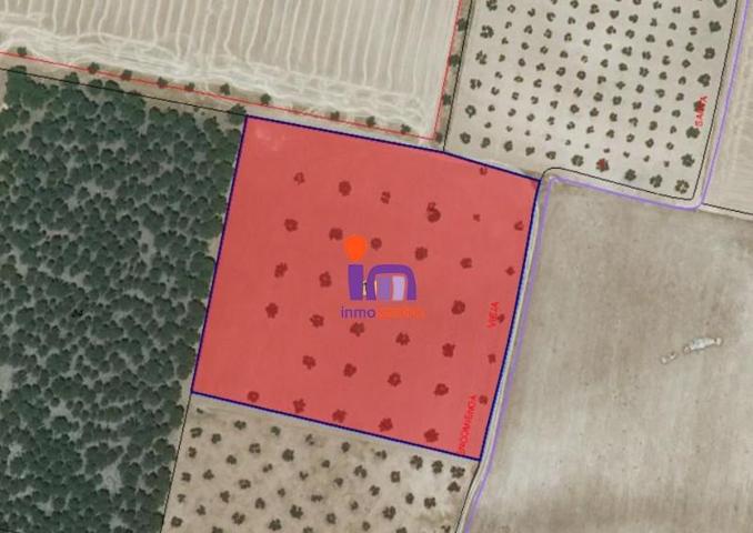 Chalet en venta en Valdepeñas, Periferia photo 0