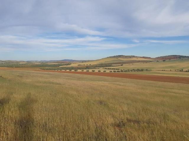 Terreno en venta en Valdepeñas, Carretera Moral photo 0