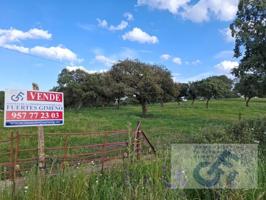 Terreno en venta en Alcaracejos photo 0