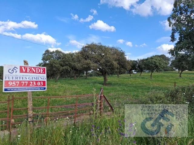 Terreno en venta en Alcaracejos photo 0