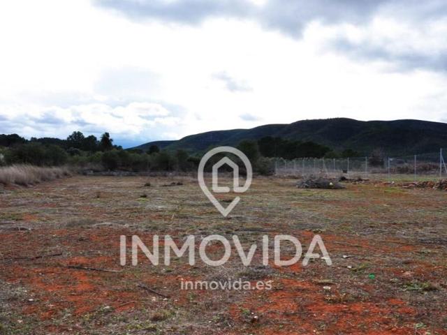 Terreno en venta en Anna photo 0
