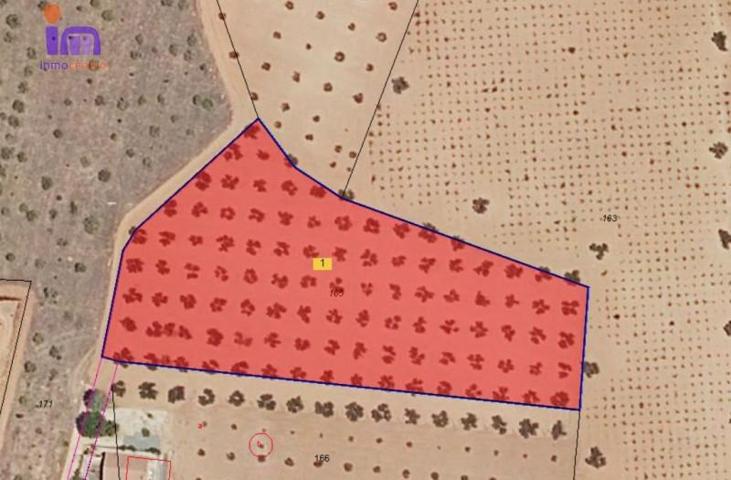 Chalet en venta en Valdepeñas, Periferia photo 0