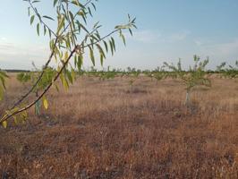 Chalet en venta en Argamasilla de Alba, Argamasilla De Alba photo 0