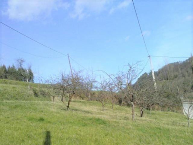 Terreno en venta en Las Regueras, Las Regueras photo 0