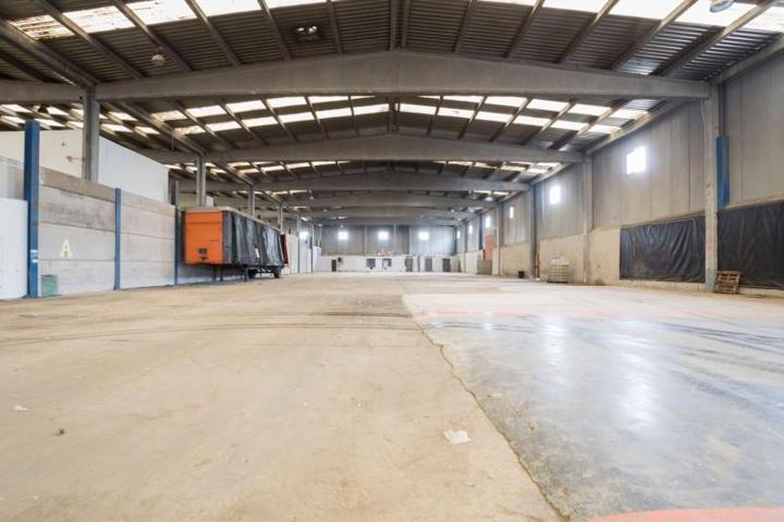 Local comercial en alquiler en Sant Feliu de Buixalleu, Sant Feliu De Buixalleu photo 0