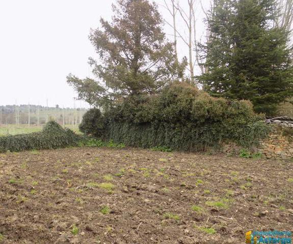 Terreno en venta en Magaz de Cepeda, Magaz De Cepeda photo 0