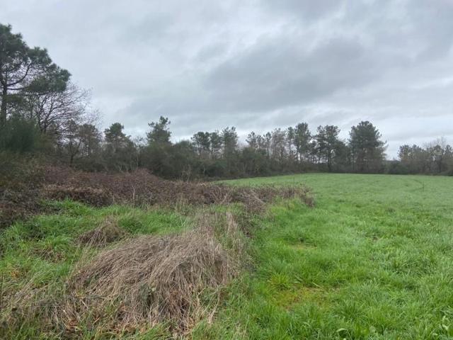 Terreno en venta en Lalín photo 0