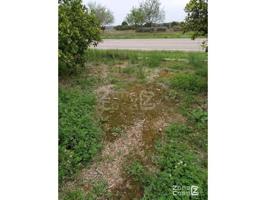 Chalet en venta en Algemesí, P. Ind. La Xara photo 0