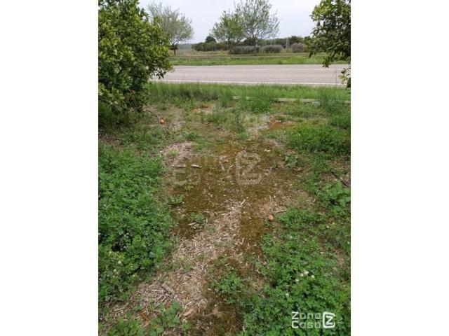 Chalet en venta en Algemesí, P. Ind. La Xara photo 0