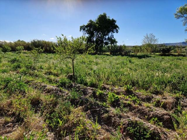 Terreno en venta en Botorrita photo 0
