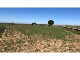 Terreno en venta en Añora photo 0
