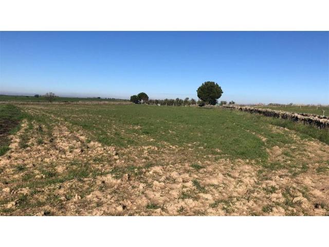 Terreno en venta en Añora photo 0