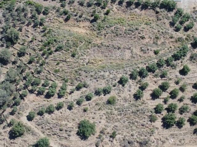 Terreno en venta en Sayalonga photo 0