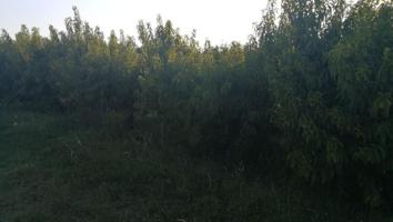 Chalet en venta en Puigverd de Lleida, Puigverd De Lleida photo 0