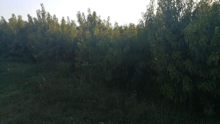 Chalet en venta en Puigverd de Lleida, Puigverd De Lleida photo 0