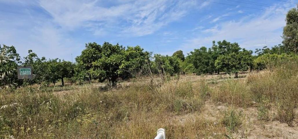 Terreno en venta en Segorbe, Segorbe photo 0