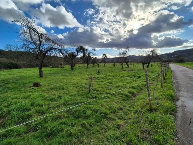 Chalet en venta en Grado, Grado photo 0