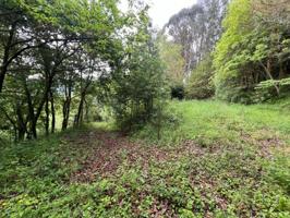 Terreno en venta en Baralla, Baralla photo 0