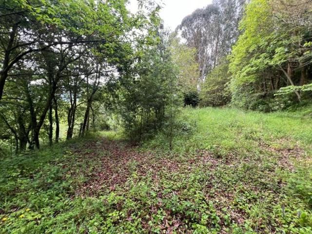 Terreno en venta en Baralla, Baralla photo 0