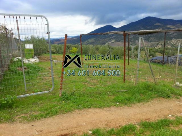 Chalet en venta en Olvera, Olvera photo 0