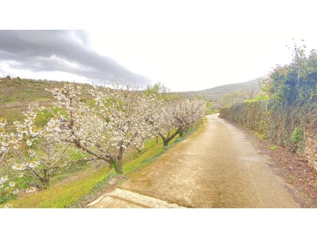 Chalet en venta en Valdastillas photo 0