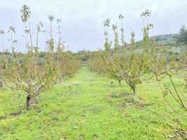 Chalet en venta en Cabrero photo 0