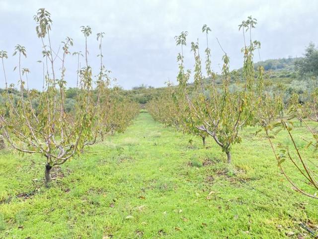 Chalet en venta en Cabrero photo 0