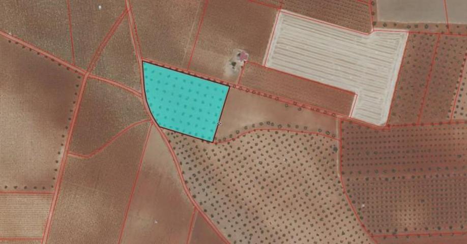 Chalet en venta en Membrilla, Banos del Peral photo 0