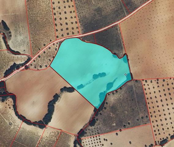 Chalet en venta en Valdepeñas, Carretara del Cristo photo 0